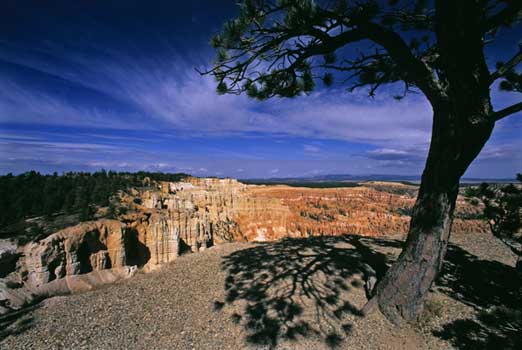 fine_art_photography_bryce_canyon_Sf2.2_35