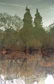 fine_art_photography_images_nyc_file_66_18