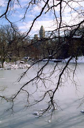 ,,fine_art_photography_images_nyc_file_73_4