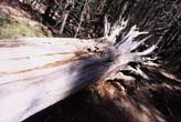 fine_art_photography_images_sedona_sf_7.1